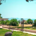 Feri Surf Club Hotel *
