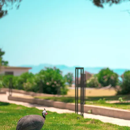 Feri Surf Club Отель *