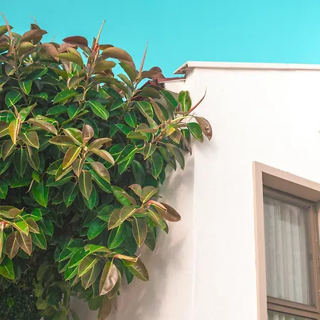 Feri Surf Club Датча