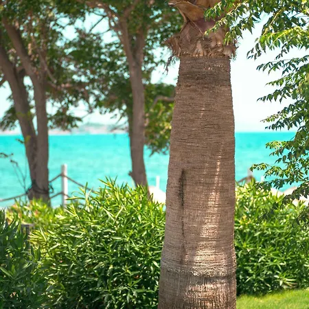 Feri Surf Club Датча