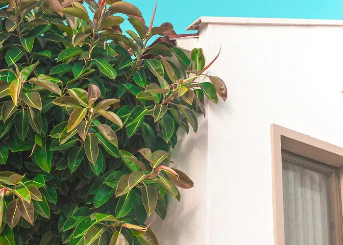 Feri Surf Club Datca