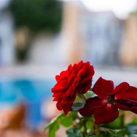 Feri Surf Club Otel Datça