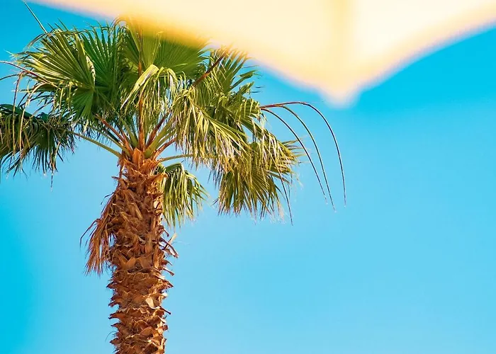 Hotel Feri Surf Club Datça